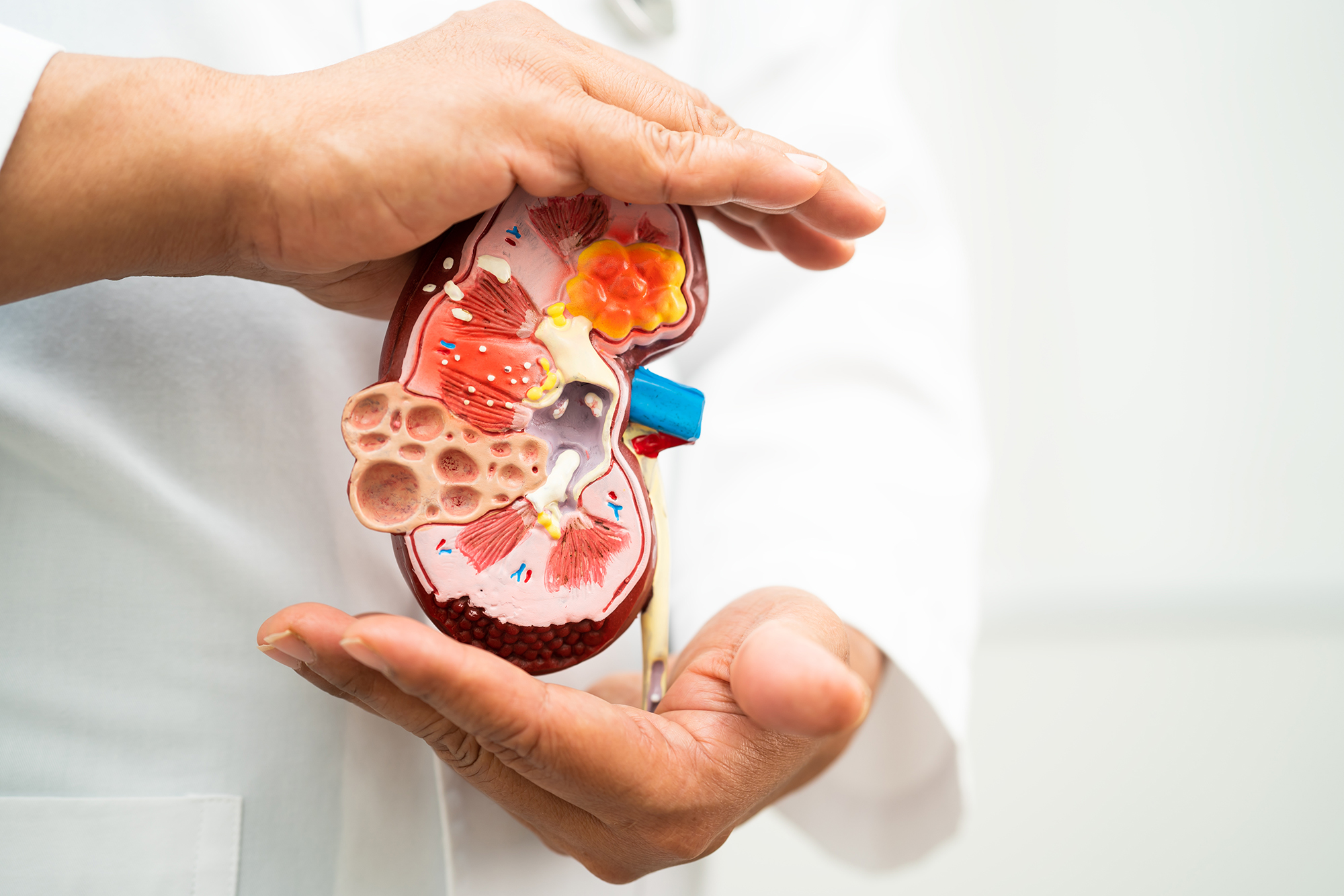 Urologie